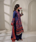 DHANAK 3C SHIRT FULLY HEAVY EMBROIDERED WITH PRINTED WHOOL SHAWL_ZB023