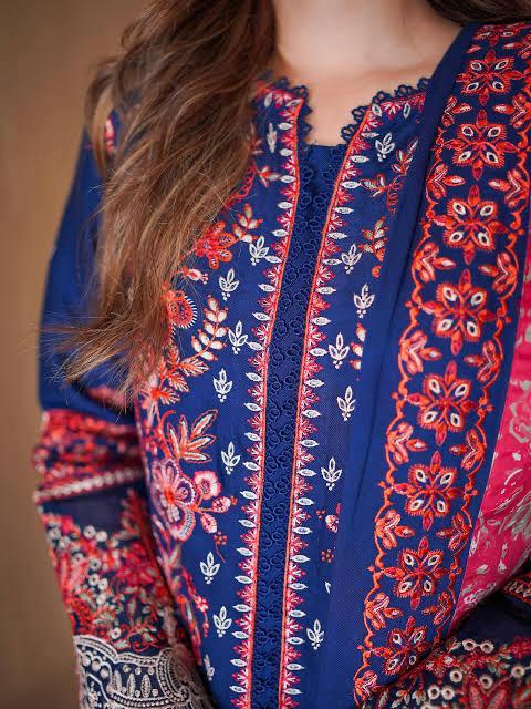 DHANAK 3C SHIRT FULLY HEAVY EMBROIDERED WITH PRINTED WHOOL SHAWL_ZB023